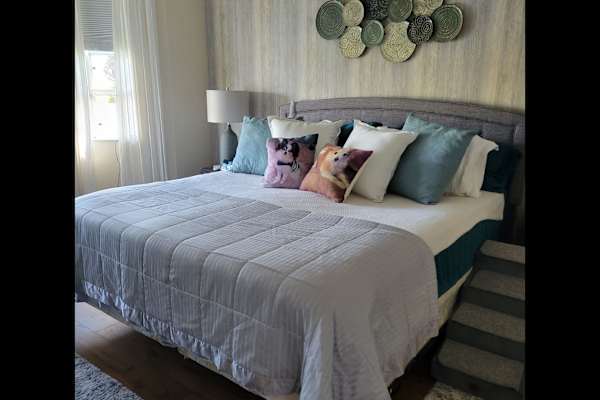 House sit in Bradenton, FL, US