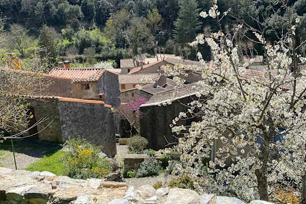 House sit in Termes, France