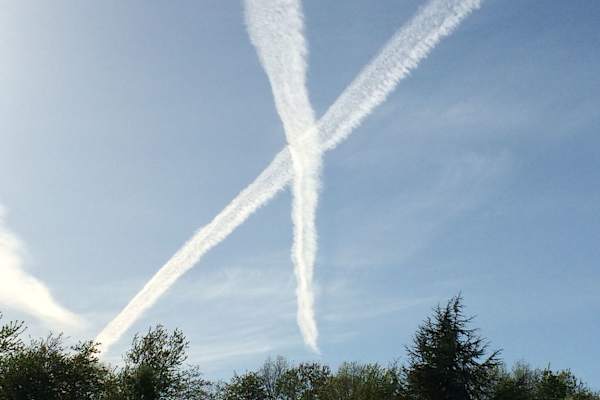 House sit in Avening, United Kingdom