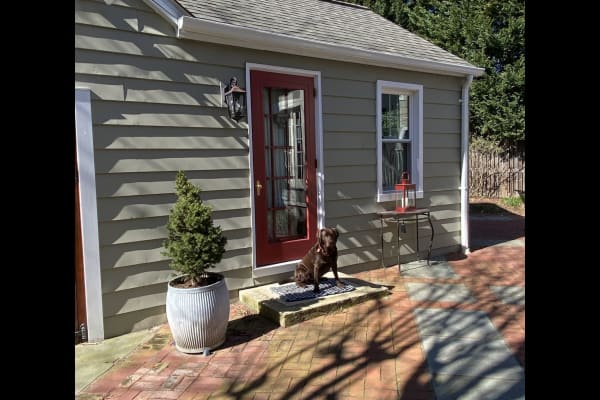 House sit in Annapolis, MD, US