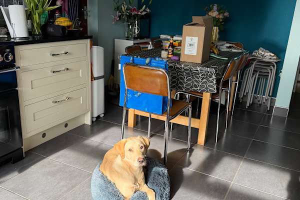 House sit in Leigh Woods, United Kingdom