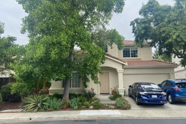 House sit in San Francisco, CA, US