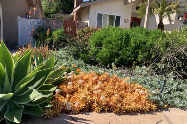 House sit in Mission Viejo, CA, US