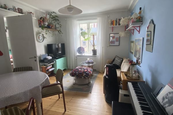 House sit in Copenhagen, Denmark