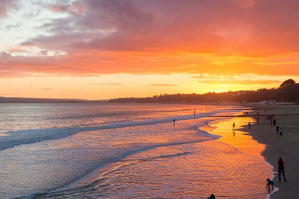 House sit in Bournemouth, United Kingdom