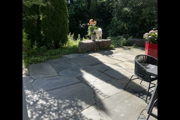 House sit in Bad Wiessee, Germany