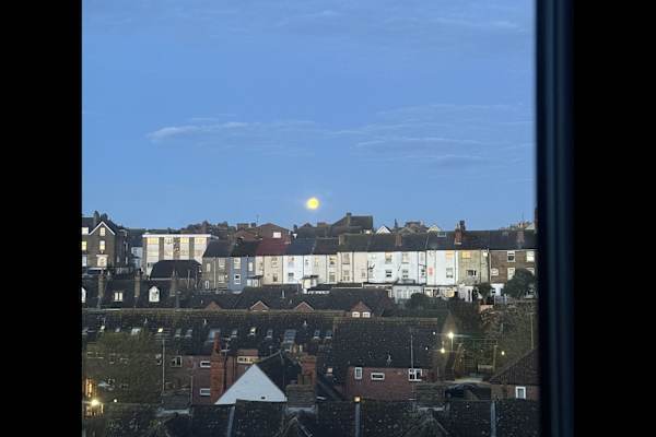 House sit in Folkestone, United Kingdom