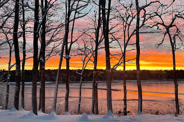 House sit in Brunswick, ME, US