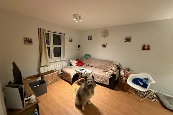 House sit in Sydenham, United Kingdom