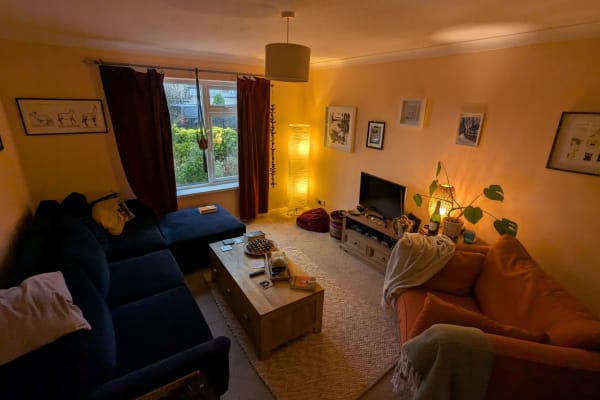 House sit in Witney, United Kingdom