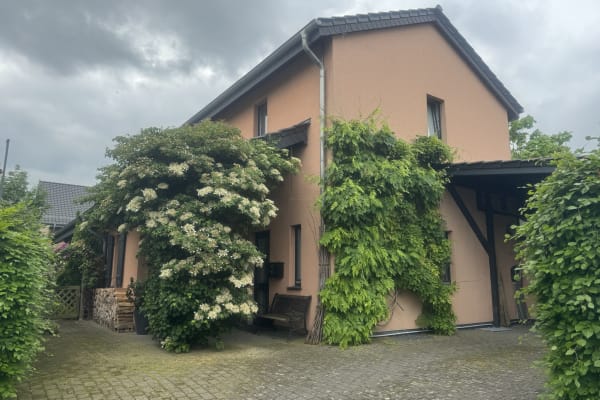 House sit in Paderborn, Germany