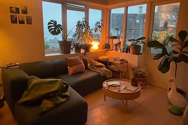 House sit in Bergen, Norway