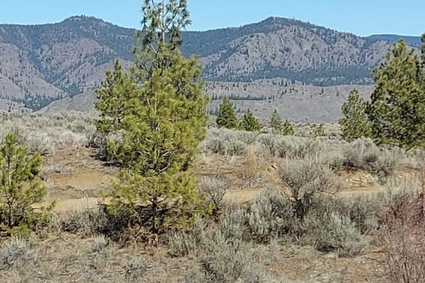 House sit in Kamloops, BC, Canada