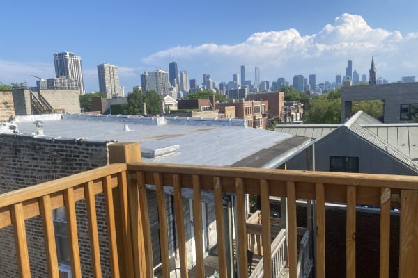 House sit in Chicago, IL, US