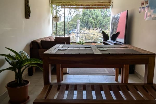 House sit in Bogotá, Colombia