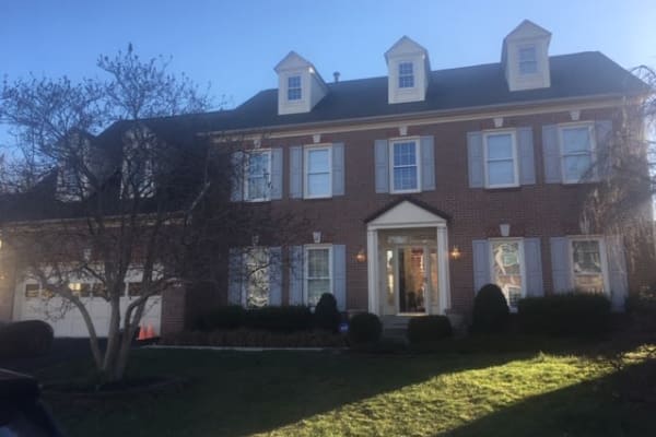 House sit in Alexandria, VA, US
