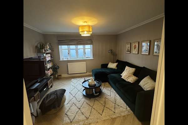 House sit in London, United Kingdom