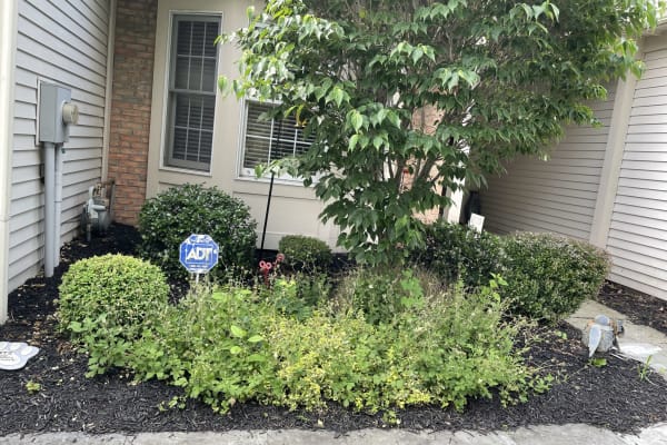 House sit in Rochester, NY, US