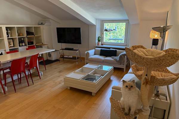 House sit in Turin, Italy