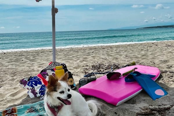 House sit in Puerto Escondido, Mexico