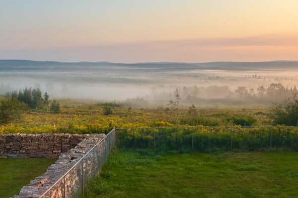 House sit in Truro, NS, Canada