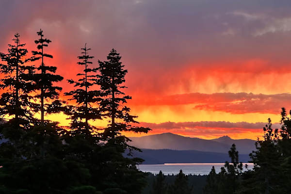 House sit in South Lake Tahoe, CA, US
