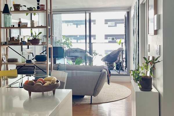 House sit in Auckland, New Zealand