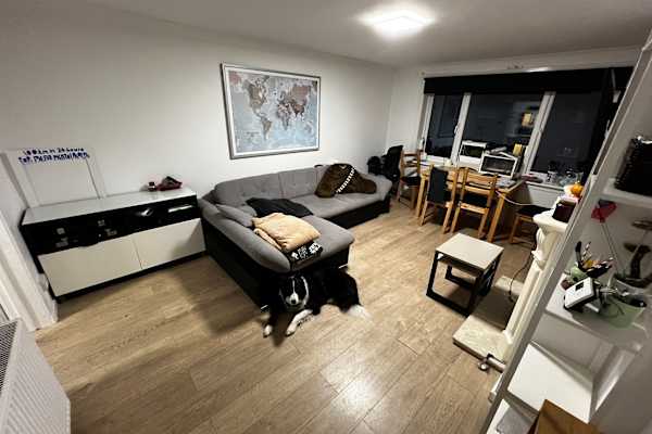 House sit in Edinburgh, United Kingdom