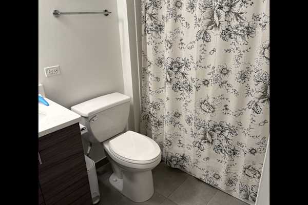 House sit in Chicago, IL, US