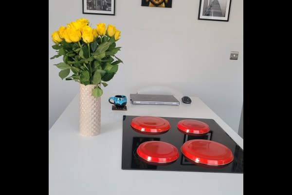 House sit in Wandsworth, United Kingdom