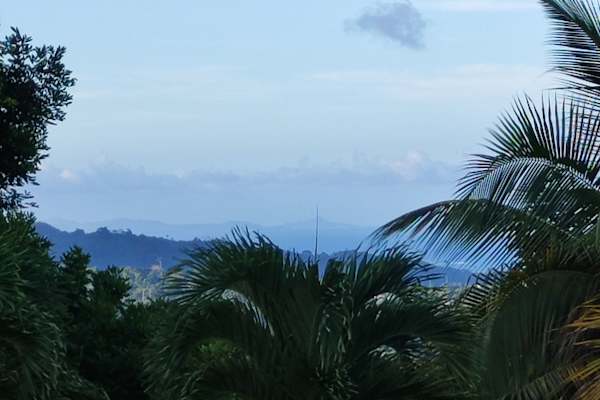 House sit in Birch Grove, Grenada