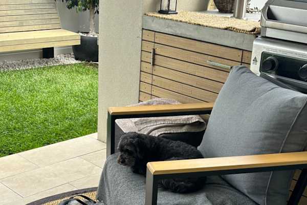 House sit in Perth, WA, Australia