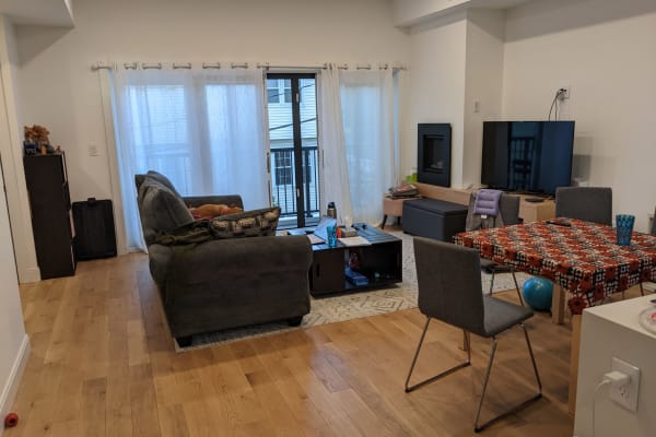 House sit in Somerville, MA, US