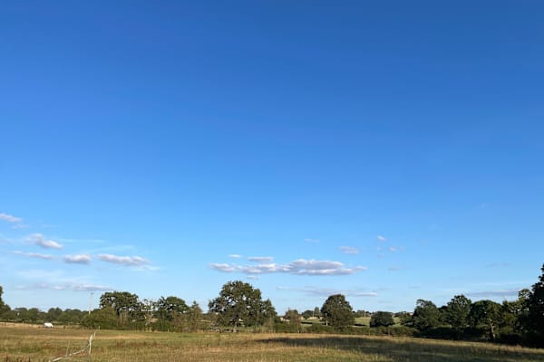 House sit in Adderley, United Kingdom