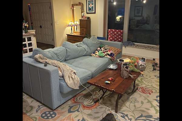 House sit in Woodinville, WA, US