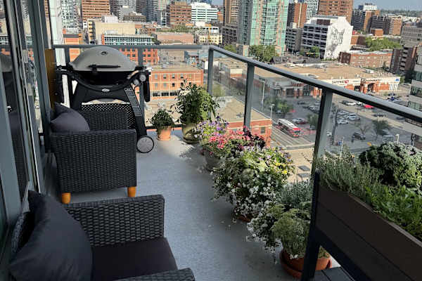 House sit in Calgary, AB, Canada