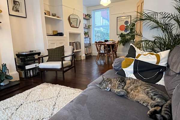 House sit in Hove, United Kingdom