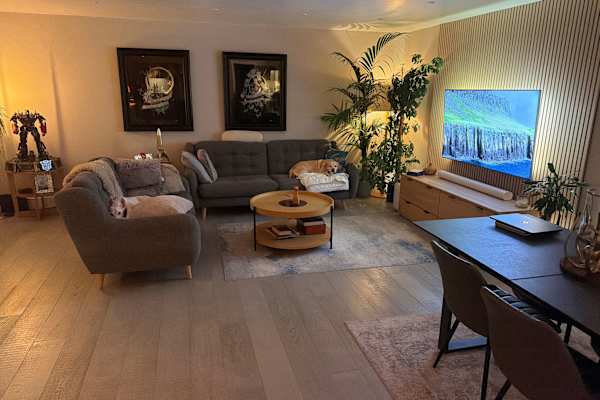 House sit in Evesham, United Kingdom