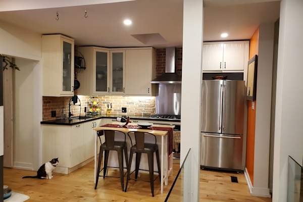 House sit in Toronto, ON, Canada