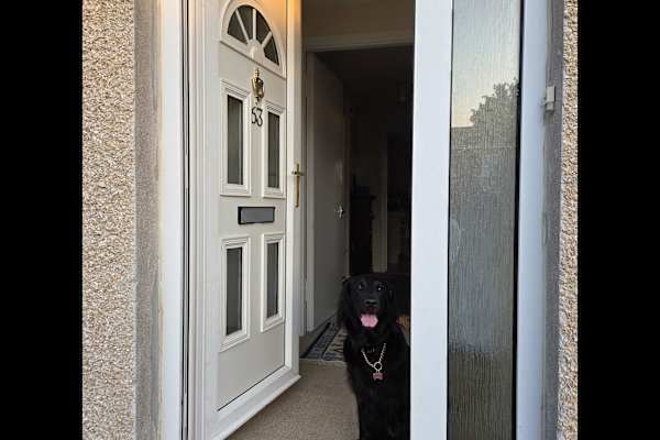 House sit in Leuchars, United Kingdom