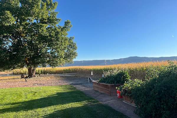 House sit in Fruita, CO, US