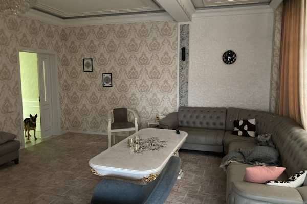 House sit in Dushanbe, Tajikistan