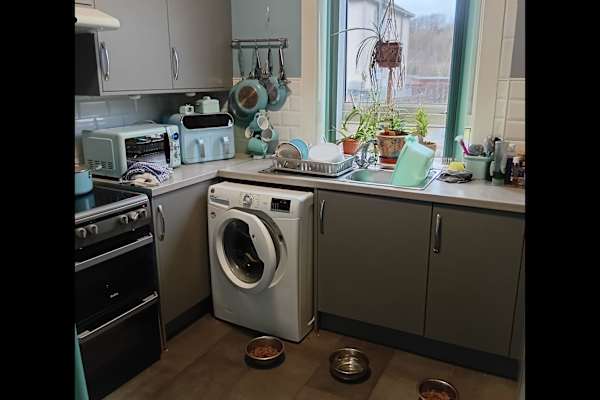 House sit in Glasgow, United Kingdom