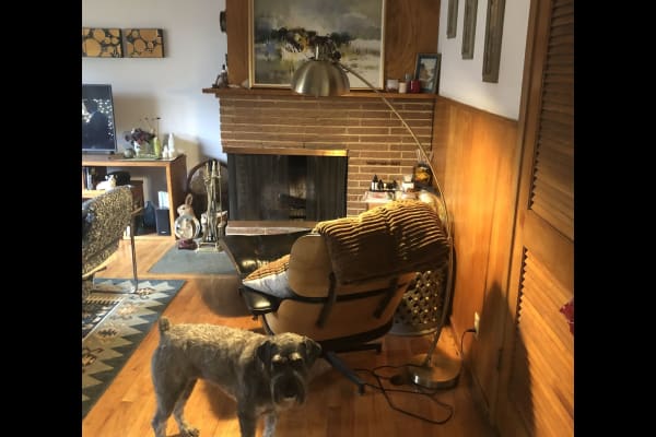 House sit in Seattle, WA, US