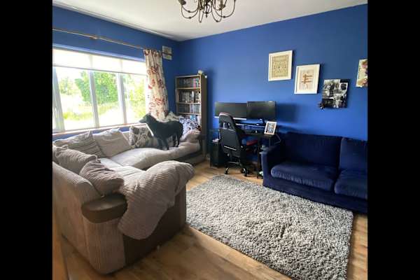 House sit in Collooney, Ireland