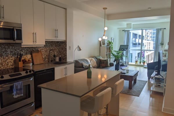 House sit in Toronto, ON, Canada