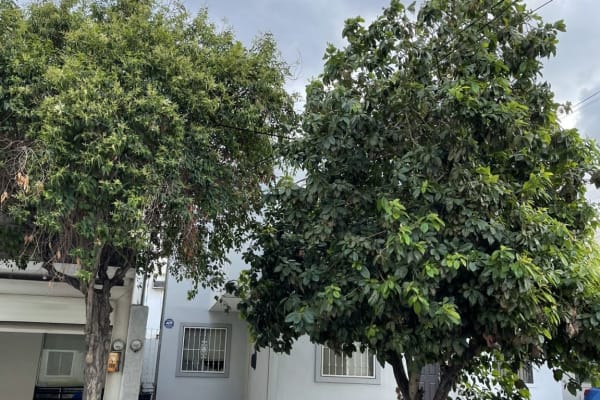 House sit in Santa Catarina, Mexico