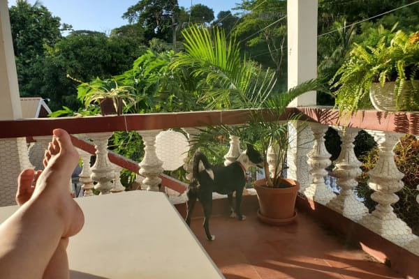 House sit in Victoria, Grenada