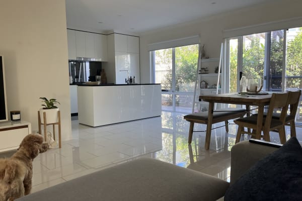 House sit in Gold Coast, QLD, Australia