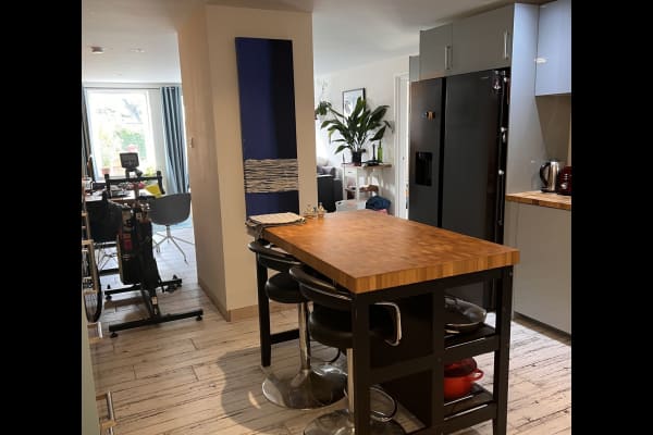 House sit in Newquay, United Kingdom